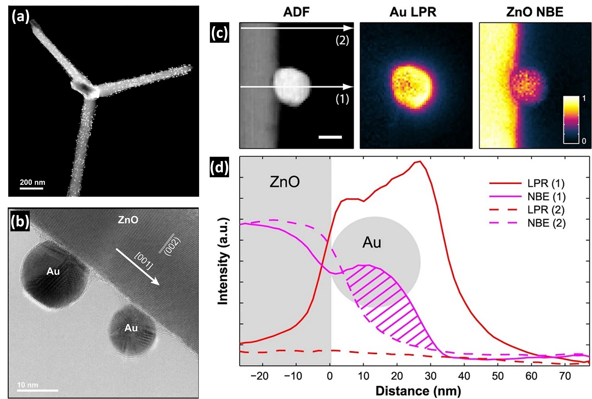 Nanoscale mapping of plasmon and exciton