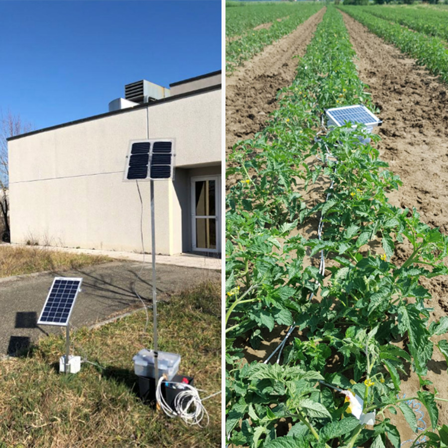 solar panels for smart agriculture