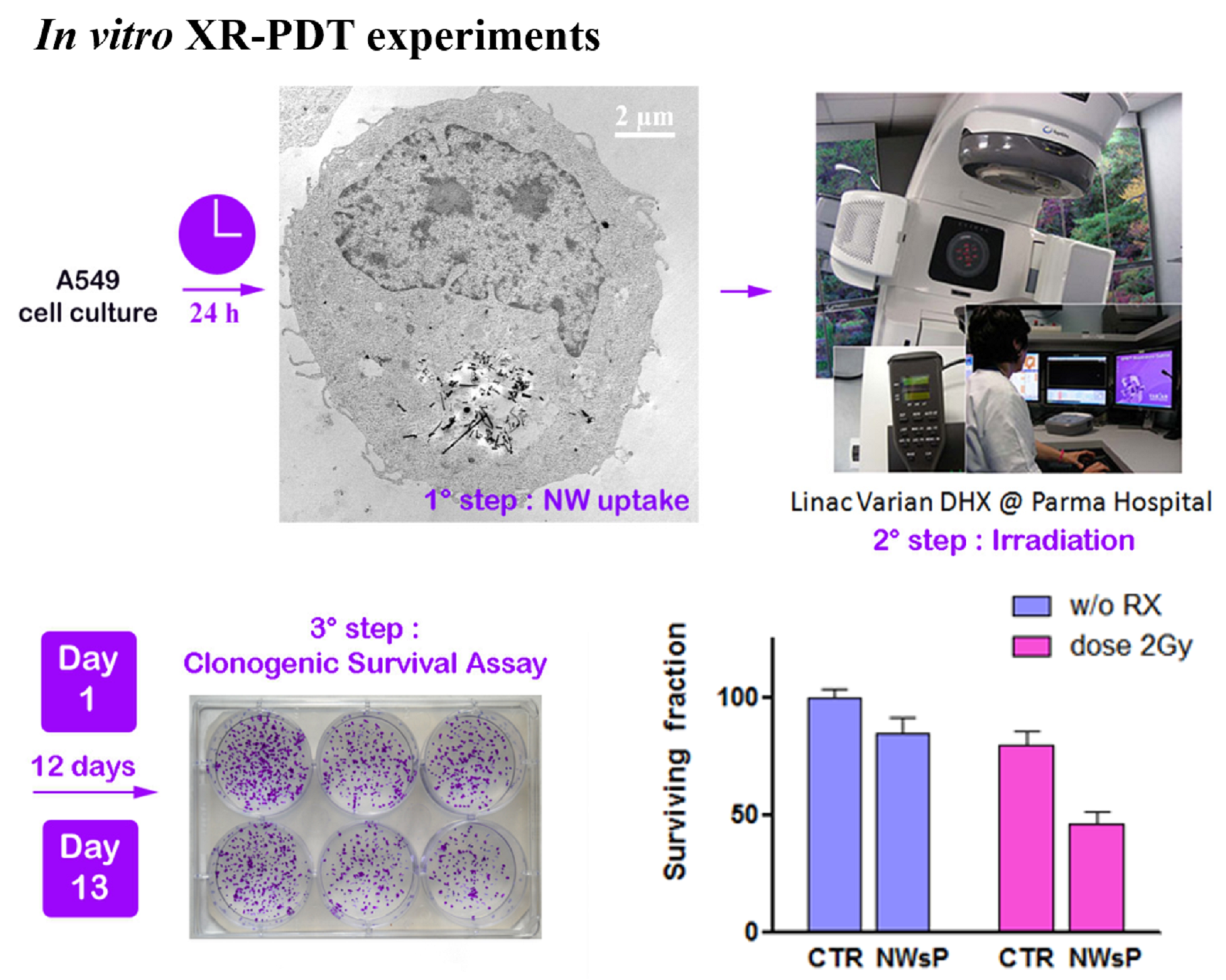 in vitro XR-PDT tests