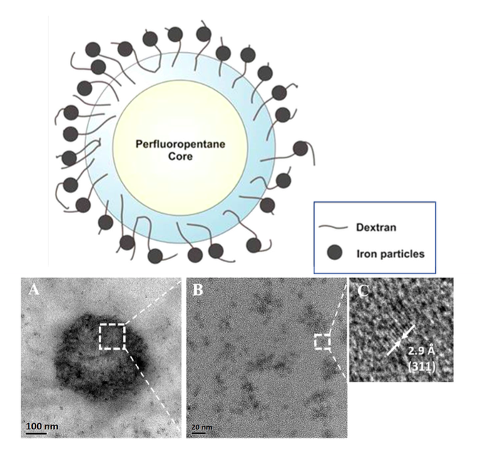 Magnetic nanobubbles