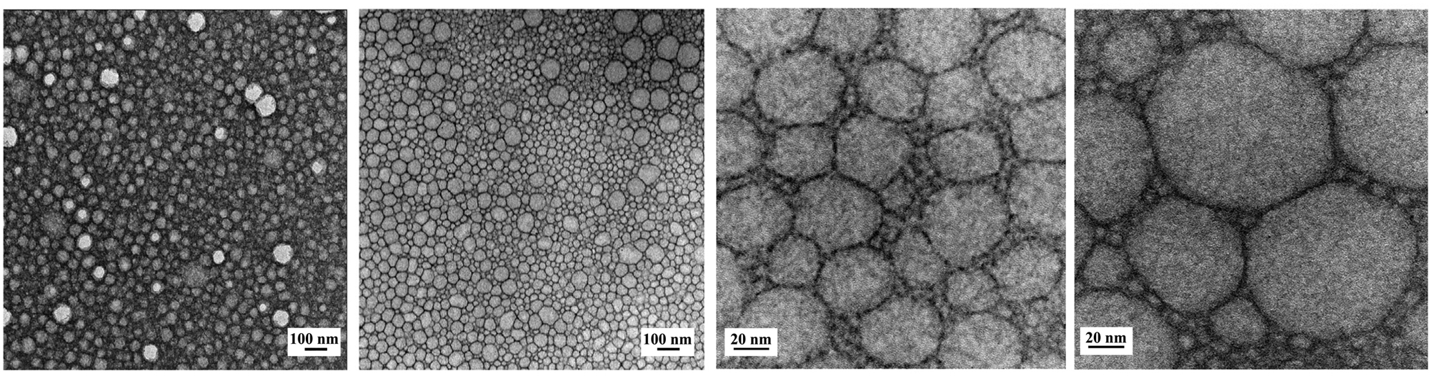 immagini TEM di nanoformulazioni