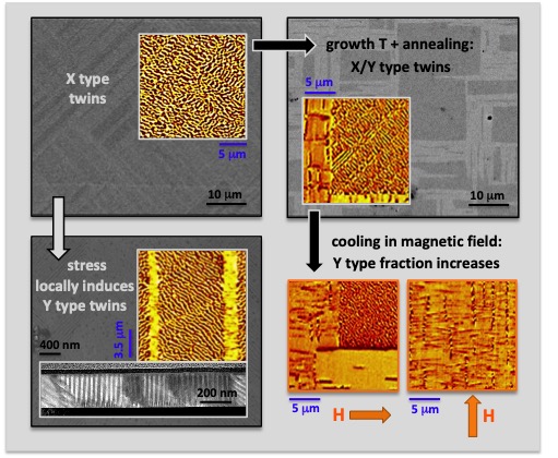 Surface of a Ni-Mn-Ga thin film