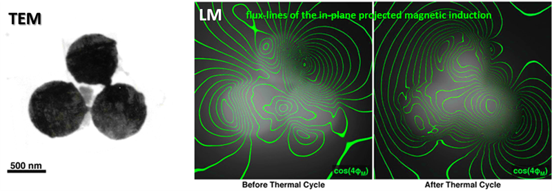 LM of NiMnGa disks