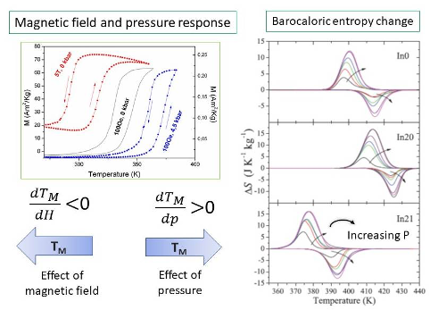 Magnetic field and pressure response