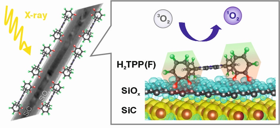 NWs+molecule