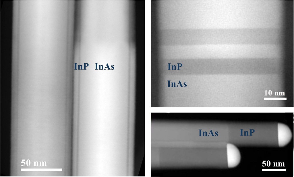 immagini STEM di NWs eterostrutturati