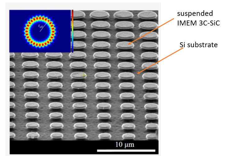 SiC microdisk