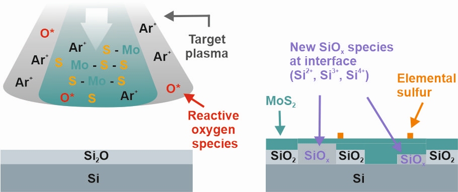 IJD growth MoS2 on SiO2