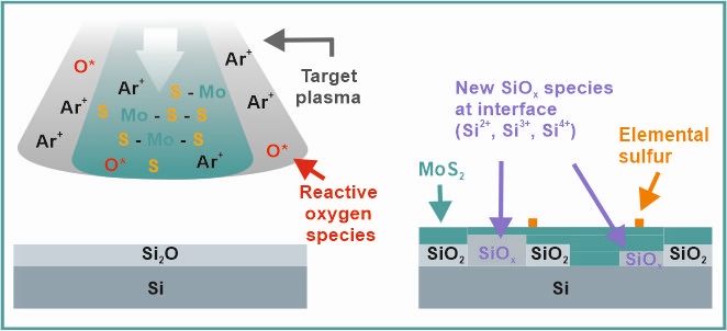 IJD growth MoS2 on SiO2