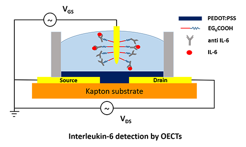 interleukin-6 detection by OECTs