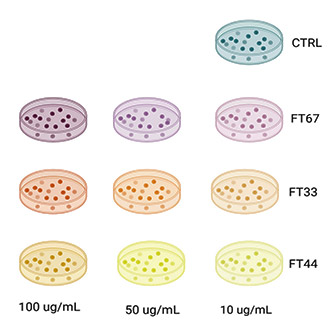 fig4a