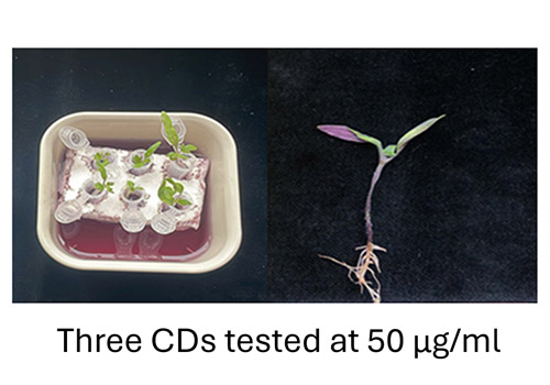 fig5b