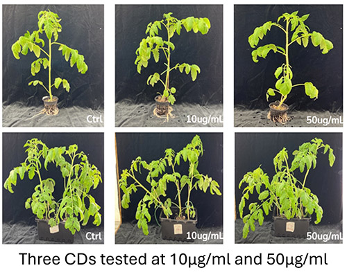 fig7b