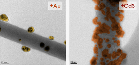 Functionalized ZnO 2