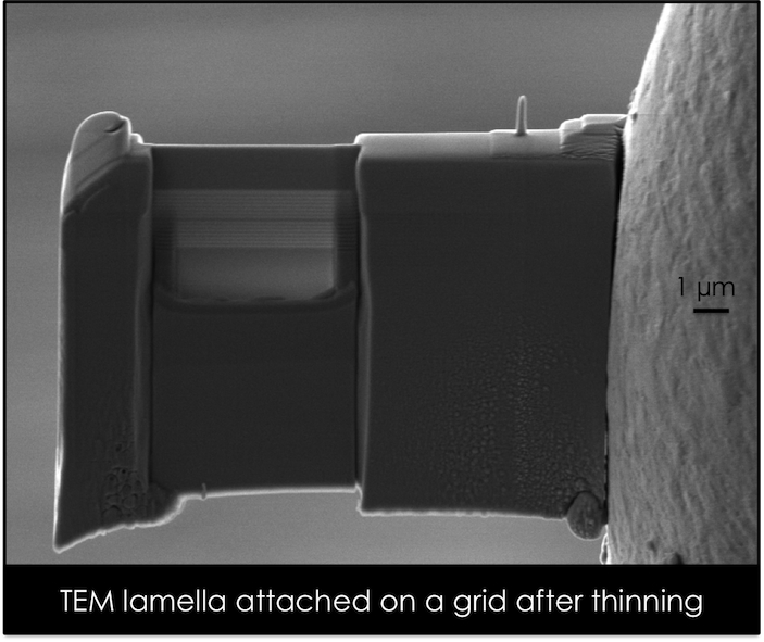 TEM lamella attached on a grid