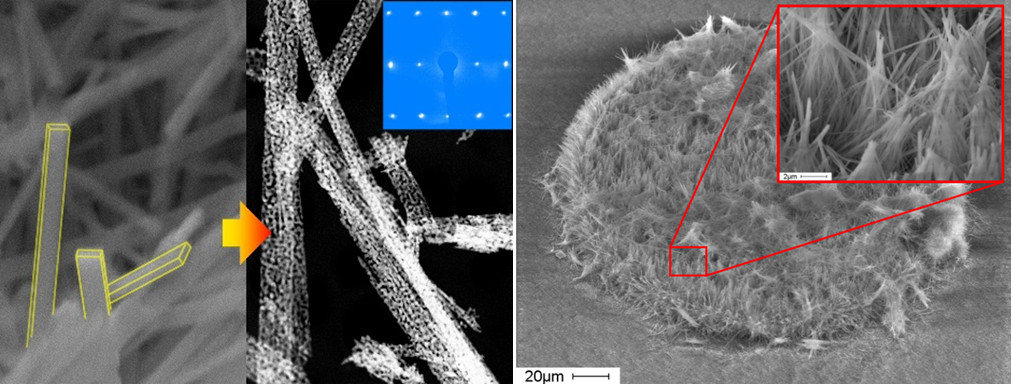Mesoporous ZnO nanocrystals