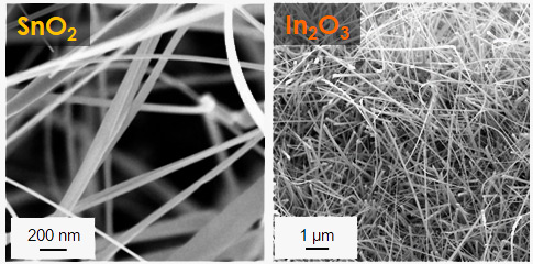 SnO2 and In2O3 nanowires