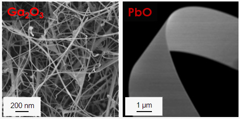 Ga2O3 and PbO nanowires
